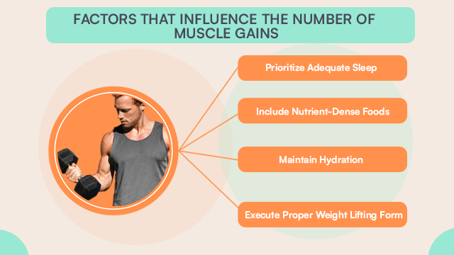 Factors That Influence Muscle Gain Diet Plan
